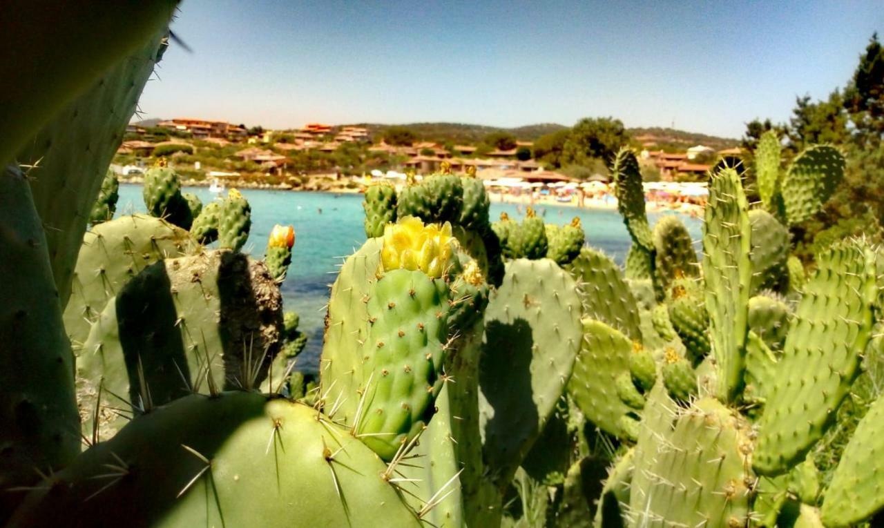 Aparthotel Le Stanze Del Mare Golfo Aranci Exterior foto
